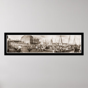 Fishing Boats Panama Photo 1909 Poster