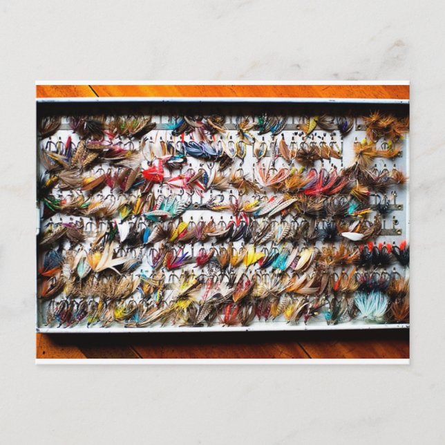 Fishing Flies Postcard (Front)