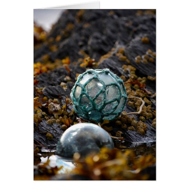 Fishing float in tide pool, Alaska (Front)