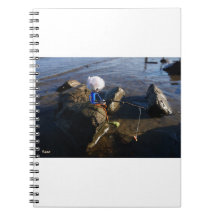 Fishing Fubby on a rock.