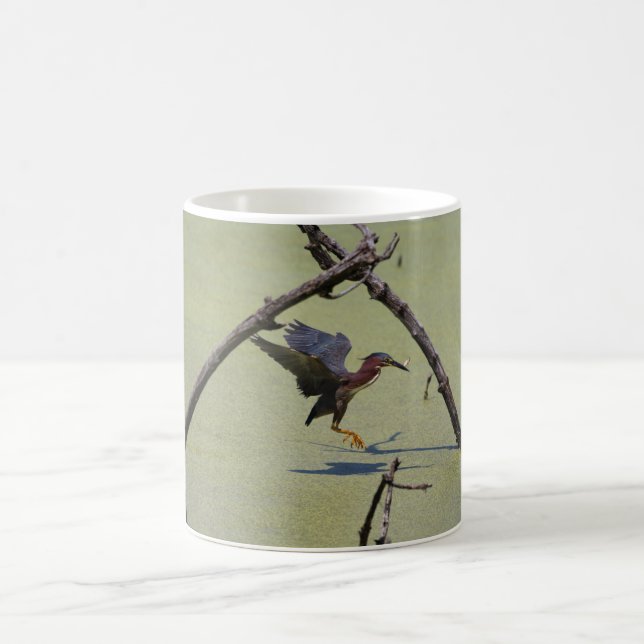 Fishing green heron  coffee mug (Center)