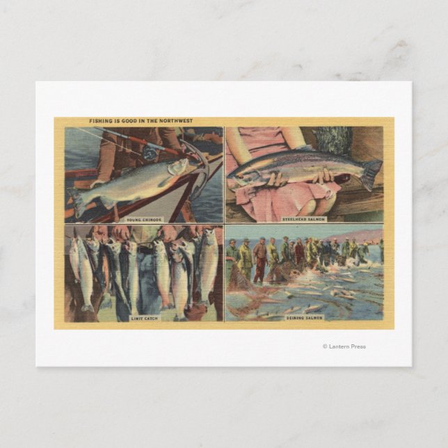 "Fishing is Good in the Northwest" - Chinook Postcard (Front)