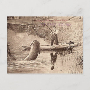 Fishing... Postcard