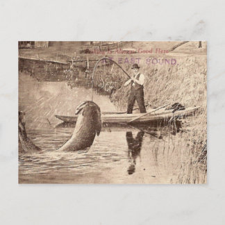Fishing... Postcard