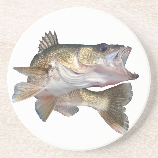 Fishing Walleye Coaster (Front)