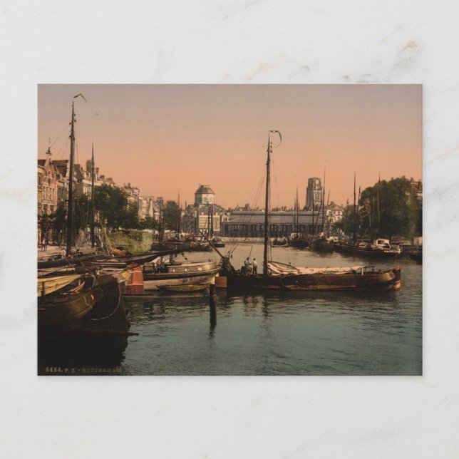 Fishmarket in Rotterdam Postcard (Front)