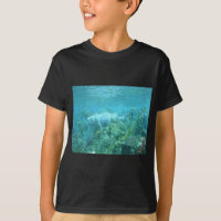 Fishy fishy... underwater fish design