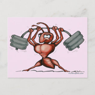 Fitness Diva Postcard