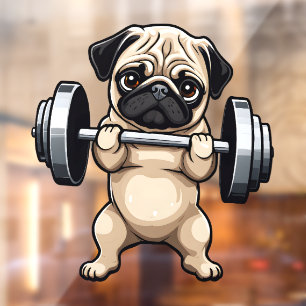 Fitness Pug
