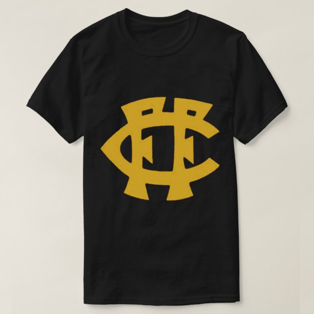 Fitzroy Football Club  Essential T-Shirt (Design Front)