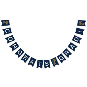 FIU Panthers Graduation Bunting