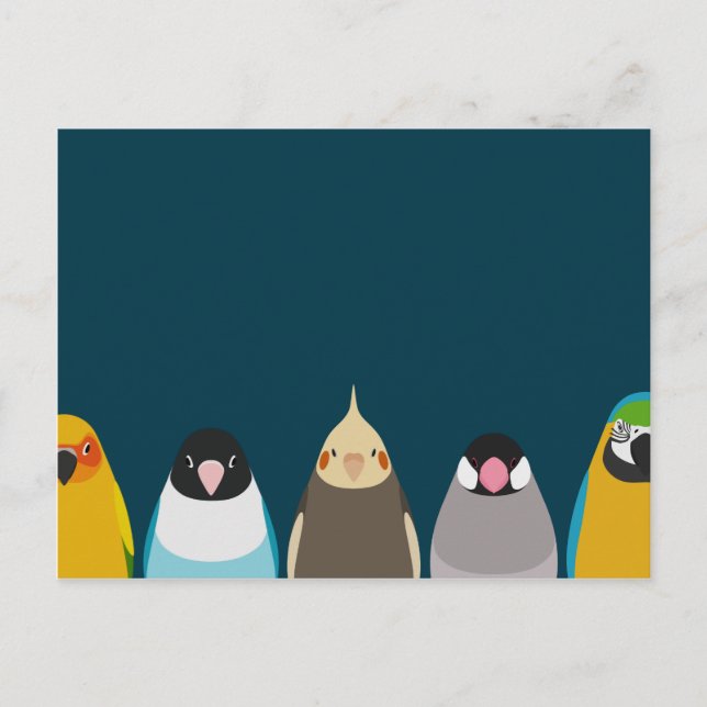 Five birds illustration - tori no iro postcard (Front)