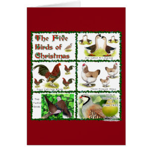 Five Birds of Christmas