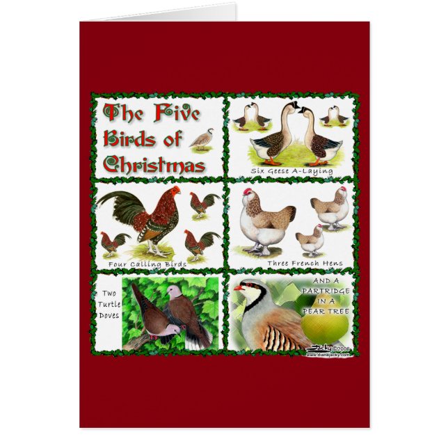 Five Birds of Christmas (Front)