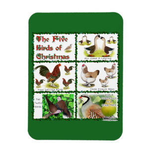 Five Birds of Christmas Magnet
