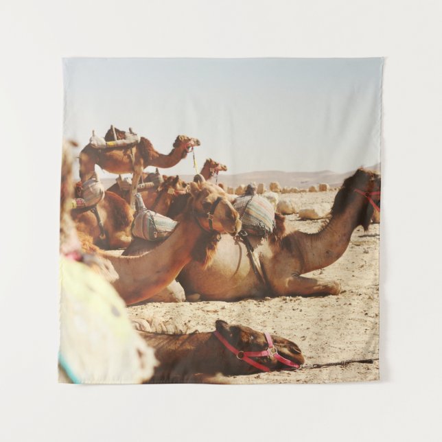 FIVE CAMELS ON FIELD TAPESTRY (Front)