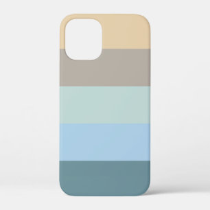 Five Colour Combo -Blue Brown Sand Beige Turquoise iPhone 12 Mini Case