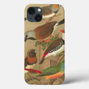 Five Colourful Pet Birds Perched on a Branch iPhone 13 Case