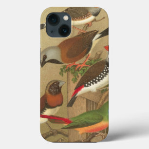 Five Colourful Pet Birds Perched on a Branch iPhone 13 Case