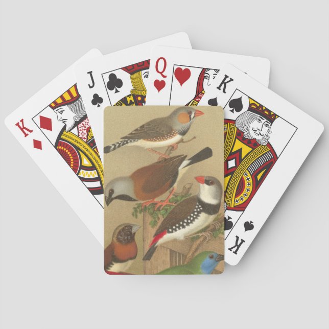 Five Colourful Pet Birds Perched on a Branch Playing Cards (Back)