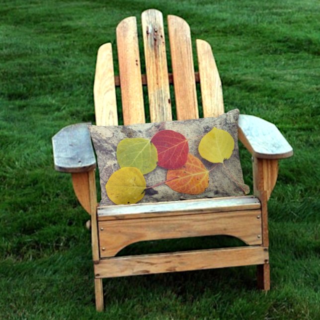 Five Colourful Rustic Fall Aspen Leaves Photograph Lumbar Cushion (same design on both sides of lumbar pillow)