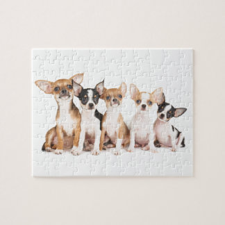 Five cute puppies jigsaw puzzle