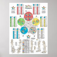 Five Elements of Acupuncture Points Poster