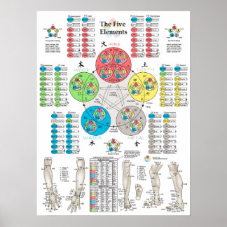 Five Elements of Acupuncture Points Poster