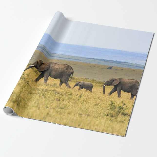 FIVE ELEPHANTS ON BROWN GRASS WRAPPING PAPER (Unrolled)