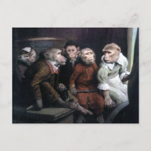 Five Fancy Monkeys Postcard