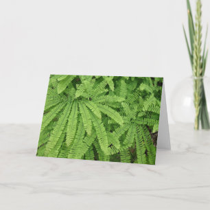 Five Finger Maidenhair Fern Card