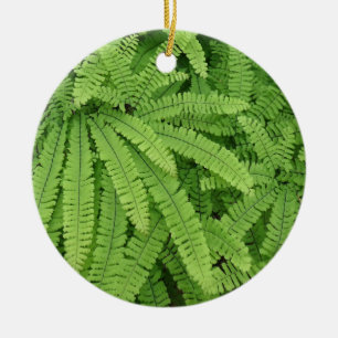 Five Finger Maidenhair Fern Ceramic Tree Decoration