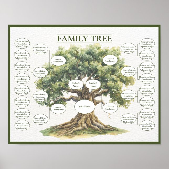 Five Generation Family Tree Ancestry Geneology Poster (Front)