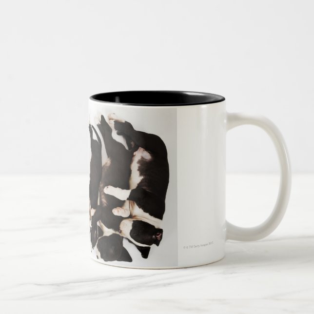 Five Harlequin Great Dane puppies sleeping Two-Tone Coffee Mug (Right)