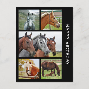 Five horse photo collage birthday postcard