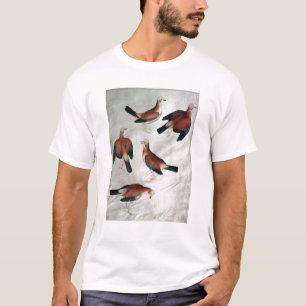 Five Jays, from the Vallardi Album T-Shirt