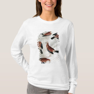 Five Jays, from the Vallardi Album T-Shirt