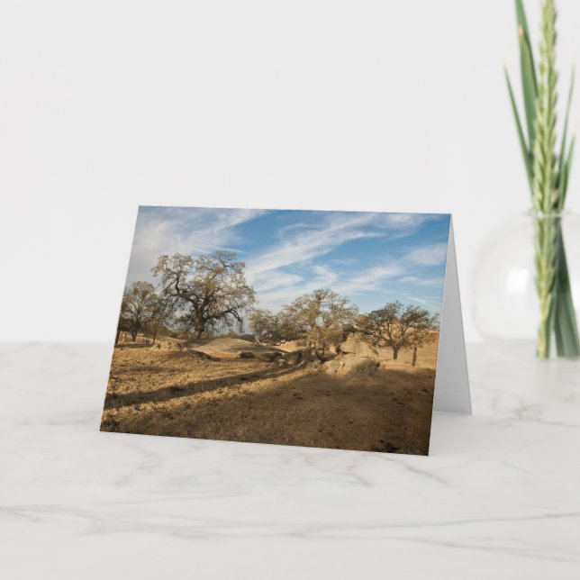 Five Oaks and Long Shadows Card (Front)