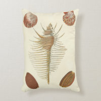 Five of a Kind Seashells