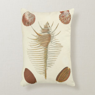 Five of a Kind Seashells Decorative Cushion