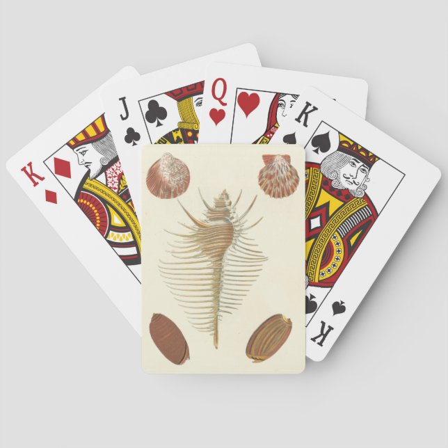 Five of a Kind Seashells Playing Cards (Back)
