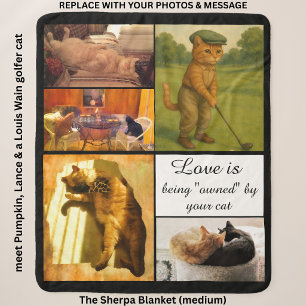 Five Photo Cat Themed Personalised Medium Pet Sherpa Blanket