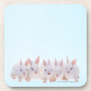 Five Rabbits Coaster