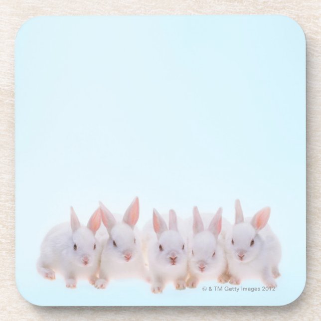 Five Rabbits Coaster (Front)