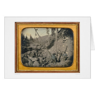 Five riverbed miners... (40064)