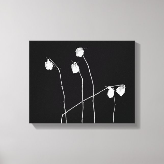 Five Roses Canvas Print (Front)