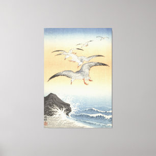Five Seagulls Stretched Canvas Print