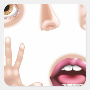 Five Senses Body Parts Square Sticker
