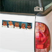 Five Singing Cats, Louis Wain Bumper Sticker (On Truck)