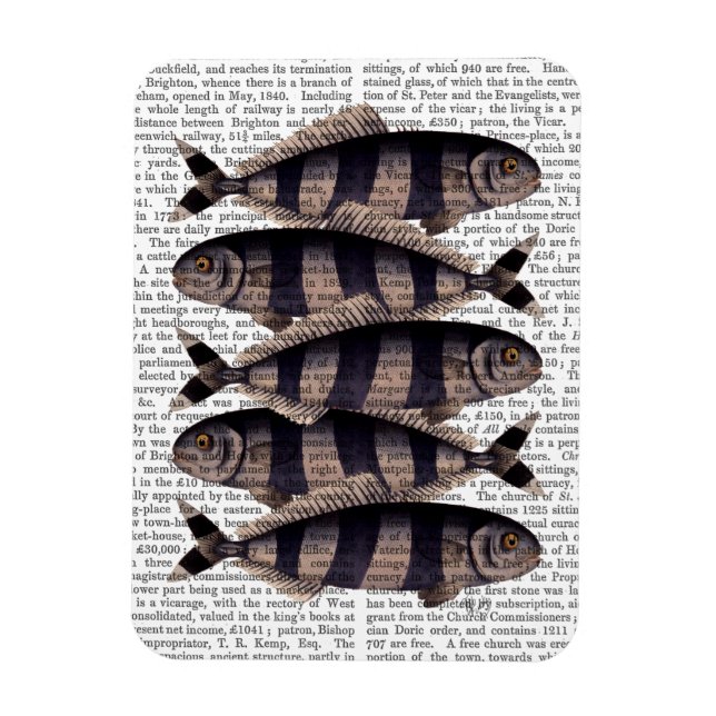 Five Striped Fish Magnet (Vertical)